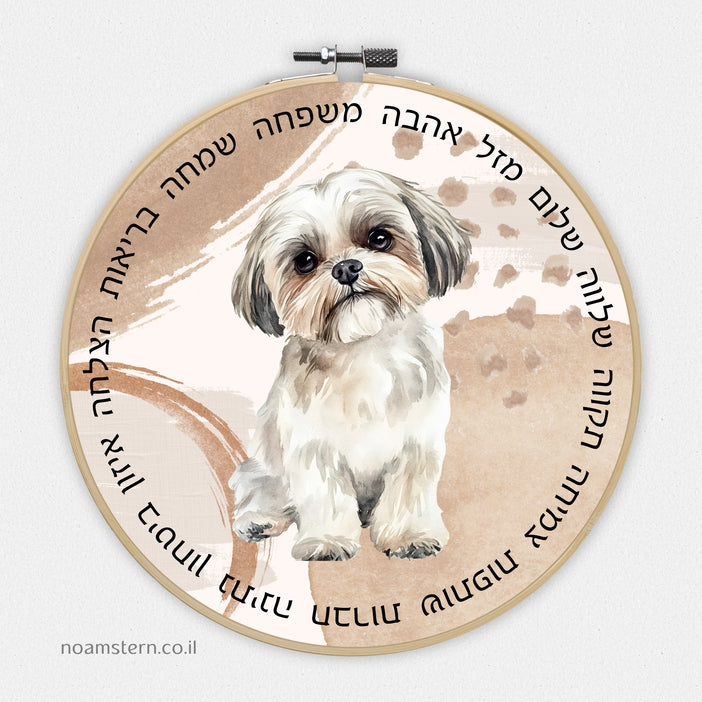 חישוק מזל שיצו ברכת הבית - איסוף עצמי