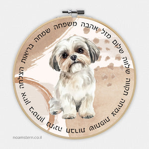 חישוק מזל שיצו ברכת הבית - איסוף עצמי